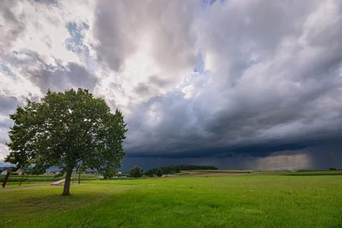 Lone tree under a thunderous cloudy sky in an open green field Stock Photos