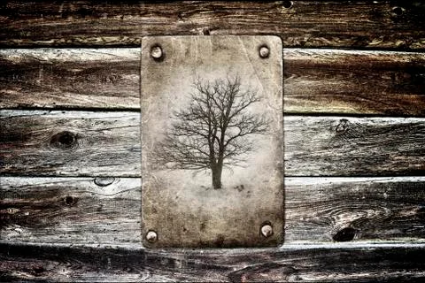 Lone tree without leaves Stock Illustration