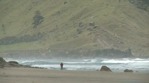 Lone walker at beach Stock Footage 549304
