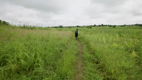 Lone Walker on Narrow Footpath Through Tall Grassland Stockbeeldmateriaal 342758282