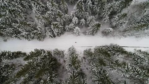 Lone walker walking through snow covered forest, birds eye view Stock Footage 102428605