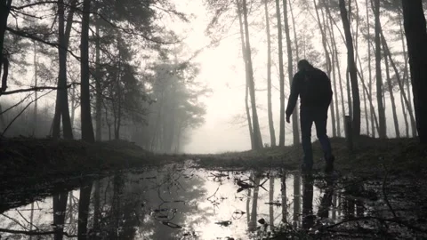 Lone wanderer walking through misty forest path with reflection Video stock 293082679