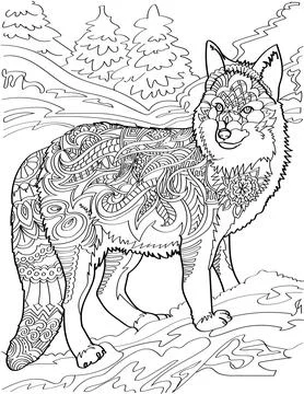 Lone Wolf Standing Looking Sideway With Forest Background Colorless Line Drawing Stock Illustration