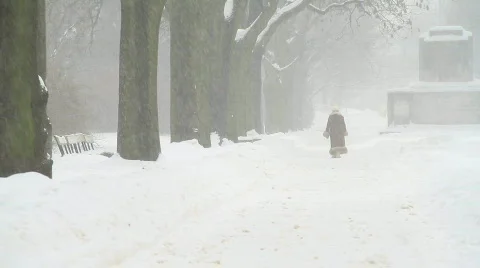 Lone woman in the park Stock Footage