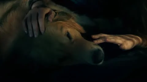 Loneliness 2 Видео 9443439