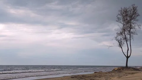 Loneliness at the beach Stock Footage 312084514