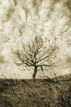 Loneliness Fotos Stock