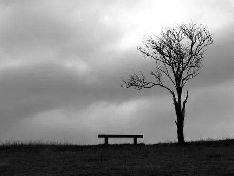 Loneliness Stock Photos
