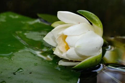 Loneliness Stock Photos