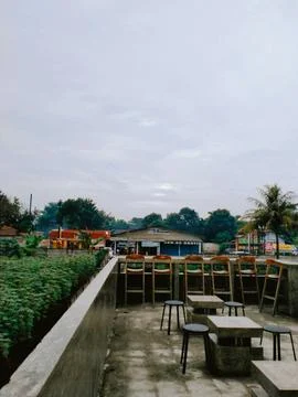 Loneliness 写真素材