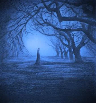 Loneliness in twilight forest Stock Illustration