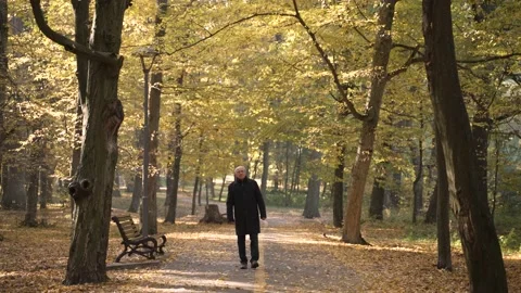 Lonely aged man walking along alley in autumn park Видео 168187946