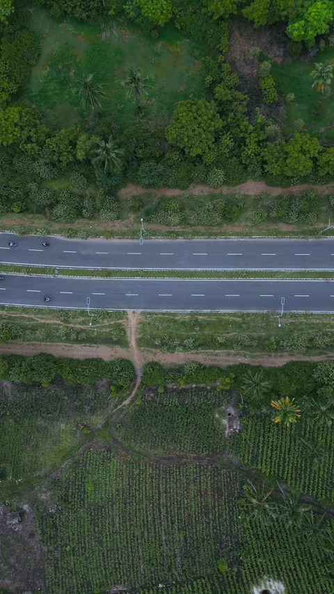 Lonely Asphalt Trail Traversing Open Areas And Natural Vegetation Video stock 330501431