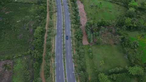 Lonely Asphalt Trail Traversing Open Areas And Natural Vegetation 動画素材 334136696