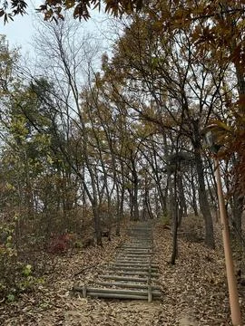 Lonely autumn path. Stock Photos