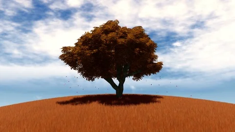 A lonely autumn tree on a field Stock Footage 97645693