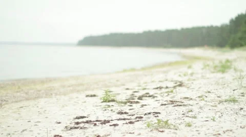 Lonely Baltic Sea beach Stock Footage 11297344