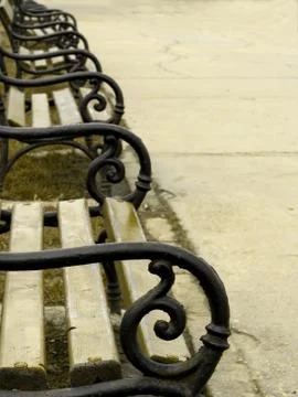 Lonely banches Stock Photos