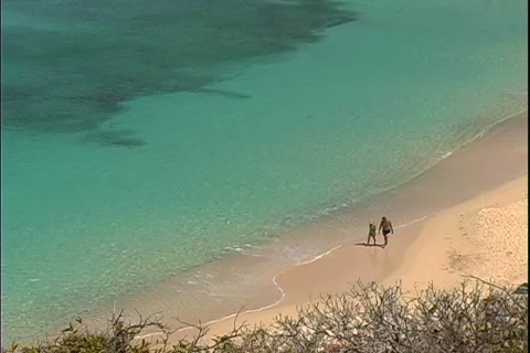 Lonely Beach Couple-ws Video stock 818679