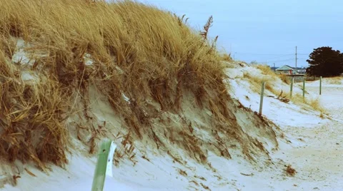 Lonely Beach During The Winter with Dunes Stock Footage 45373270
