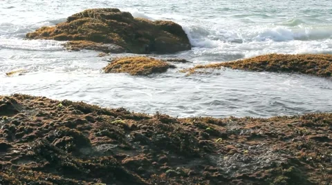 Lonely beach Stock Footage 43056321