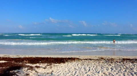 Lonely beach Stock Footage 45879021