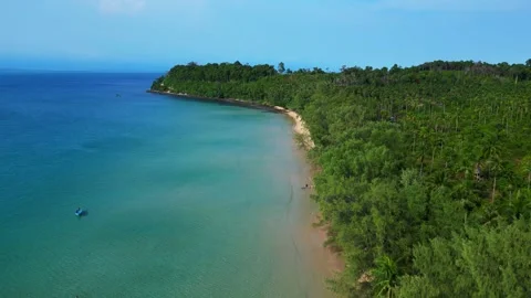 Lonely beach palm tree forest on cambodia island. Perfect aerial view flight Vidéo 303951421