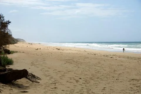 Lonely beach Stock Photos