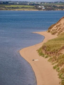 Lonely beach Stock Photos