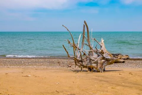 Lonely Beach Stock Photos