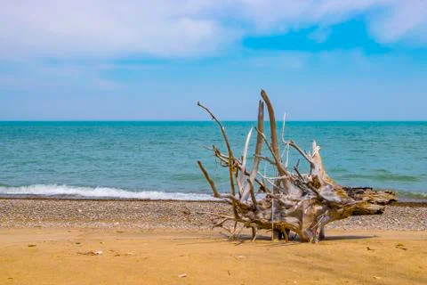 Lonely Beach Stock Photos