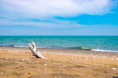 Lonely Beach Stock Photos
