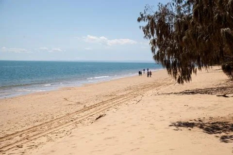 Lonely Beach Stock Photos