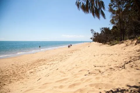 Lonely Beach Stock Photos