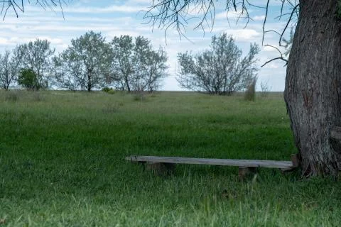 Lonely bench in the field under shadow of tree crown. quiet place, face to face Stock Photos