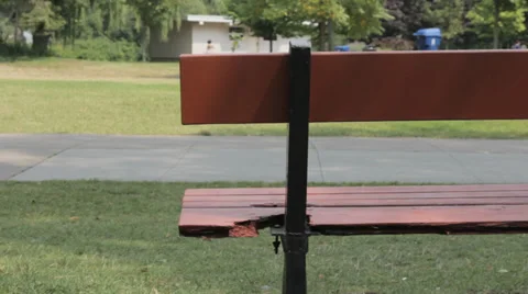 Lonely bench Stock Footage 29894841