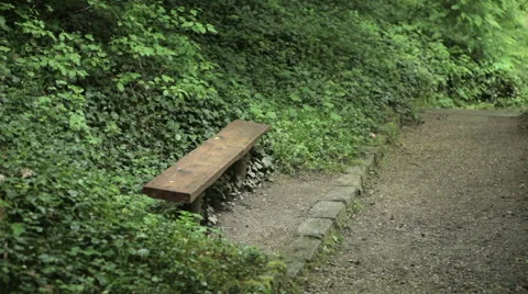 Lonely bench in a park 库存影片 62778668