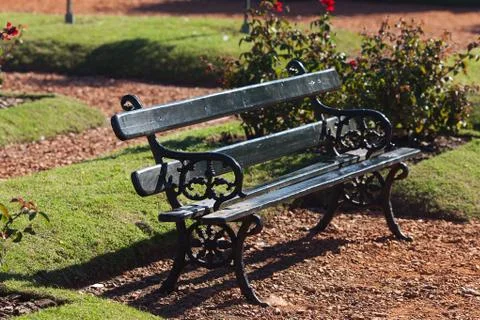 Lonely bench in the park on the grass background Stock Photos