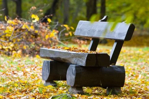 Lonely bench in the park Stock Photos