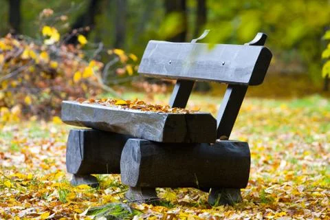 Lonely bench in the park 스톡 사진