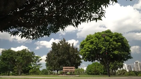 Lonely bench in a park seen under a tree, in Timelapse Видео 127433472