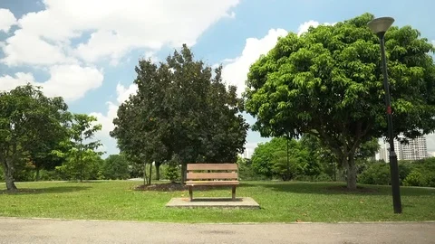 Lonely bench in a park, in Timelapse Видео 127432573