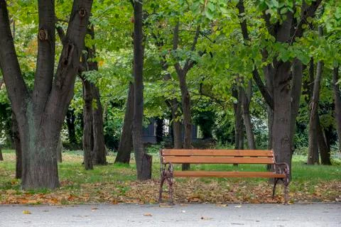 Lonely bench Stock Photos