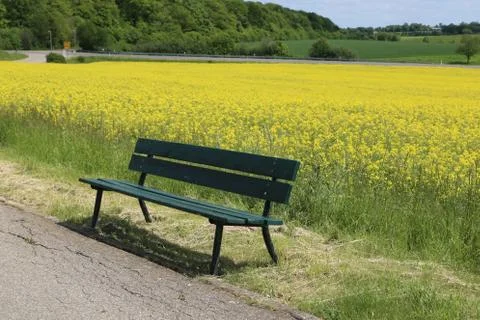 The lonely bench Foto stock