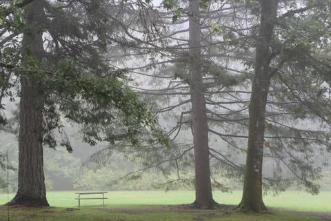 Lonely bench Stock Photos