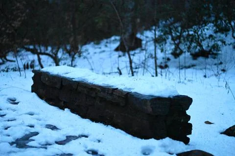 A Lonely Bench Stock Photos