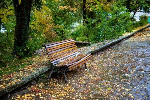 Lonely bench Stock Photos