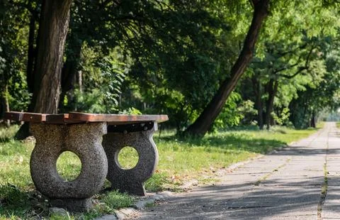 Lonely bench standing in park by path surrounded by greenery Foto stock
