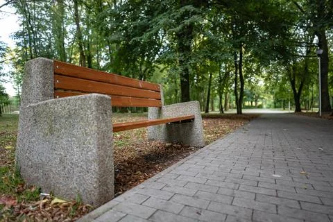 Lonely bench standing in park by path surrounded by greenery Foto stock