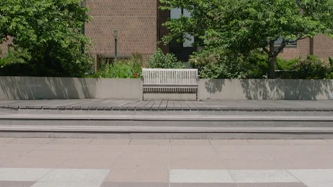 Lonely bench wide Stock Footage 108736564